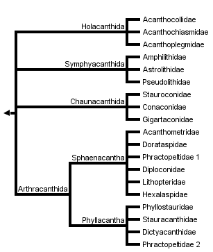 taxon links