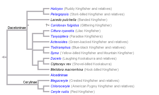 taxon links