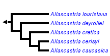 taxon links