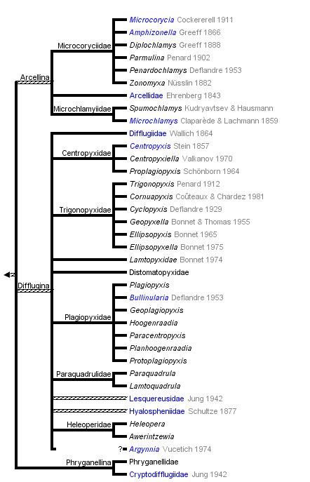 taxon links