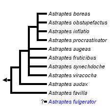 taxon links