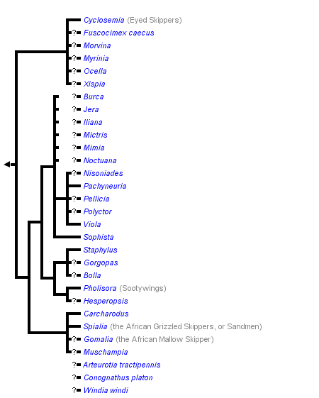 taxon links