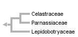 taxon links