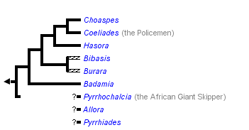 taxon links