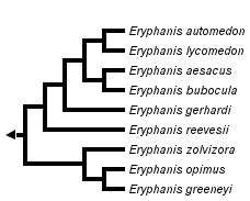 taxon links