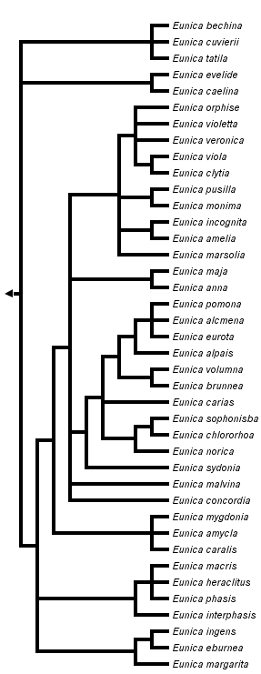 taxon links