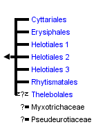 taxon links