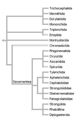 taxon links