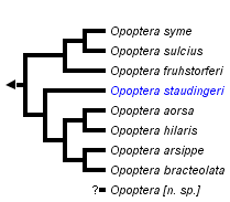 taxon links