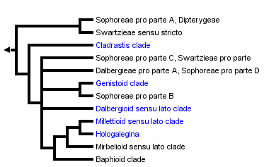 taxon links