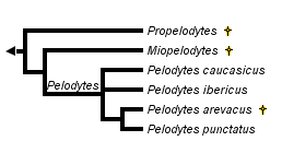 taxon links