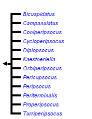 taxon links