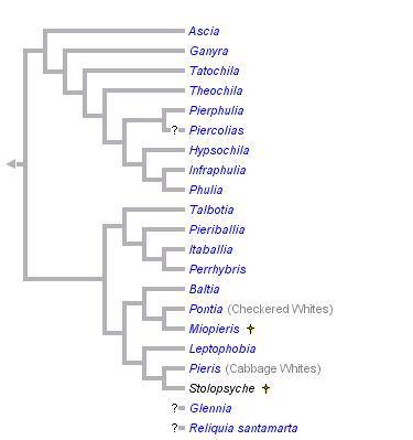 taxon links