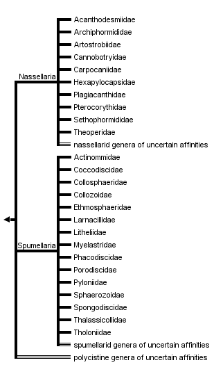 taxon links