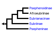 taxon links