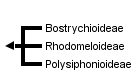 taxon links