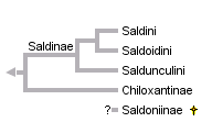 taxon links