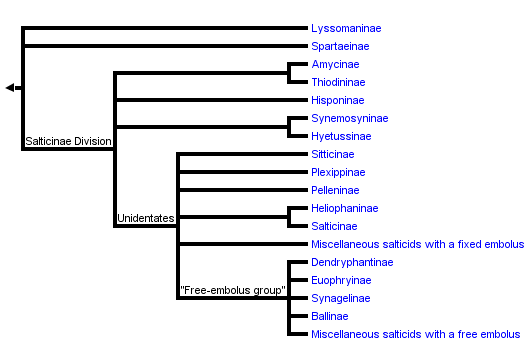 taxon links