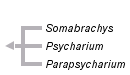 taxon links