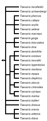 taxon links