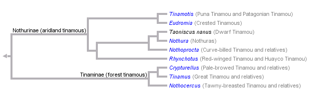 taxon links