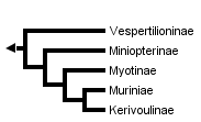 taxon links