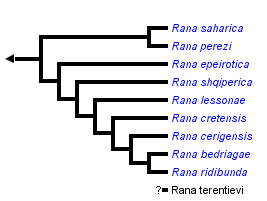 taxon links