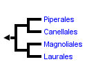 taxon links